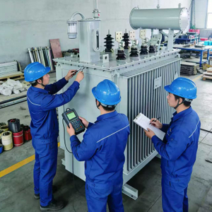 6kV Oil Transformer for Old Plant Retrofit and Electrical System Modernization DEYAN